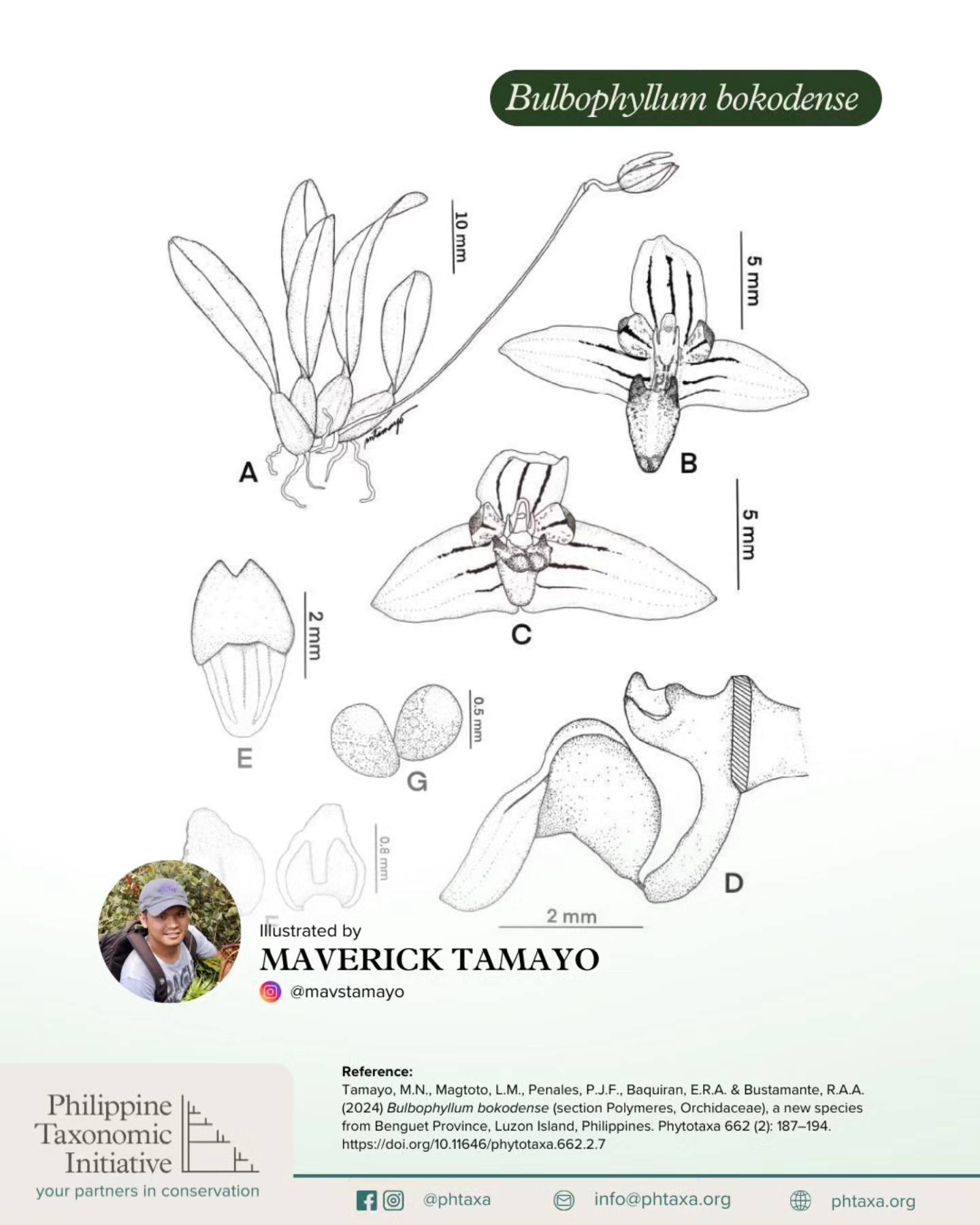 Philippine Taxonomic Initiative | El Nido