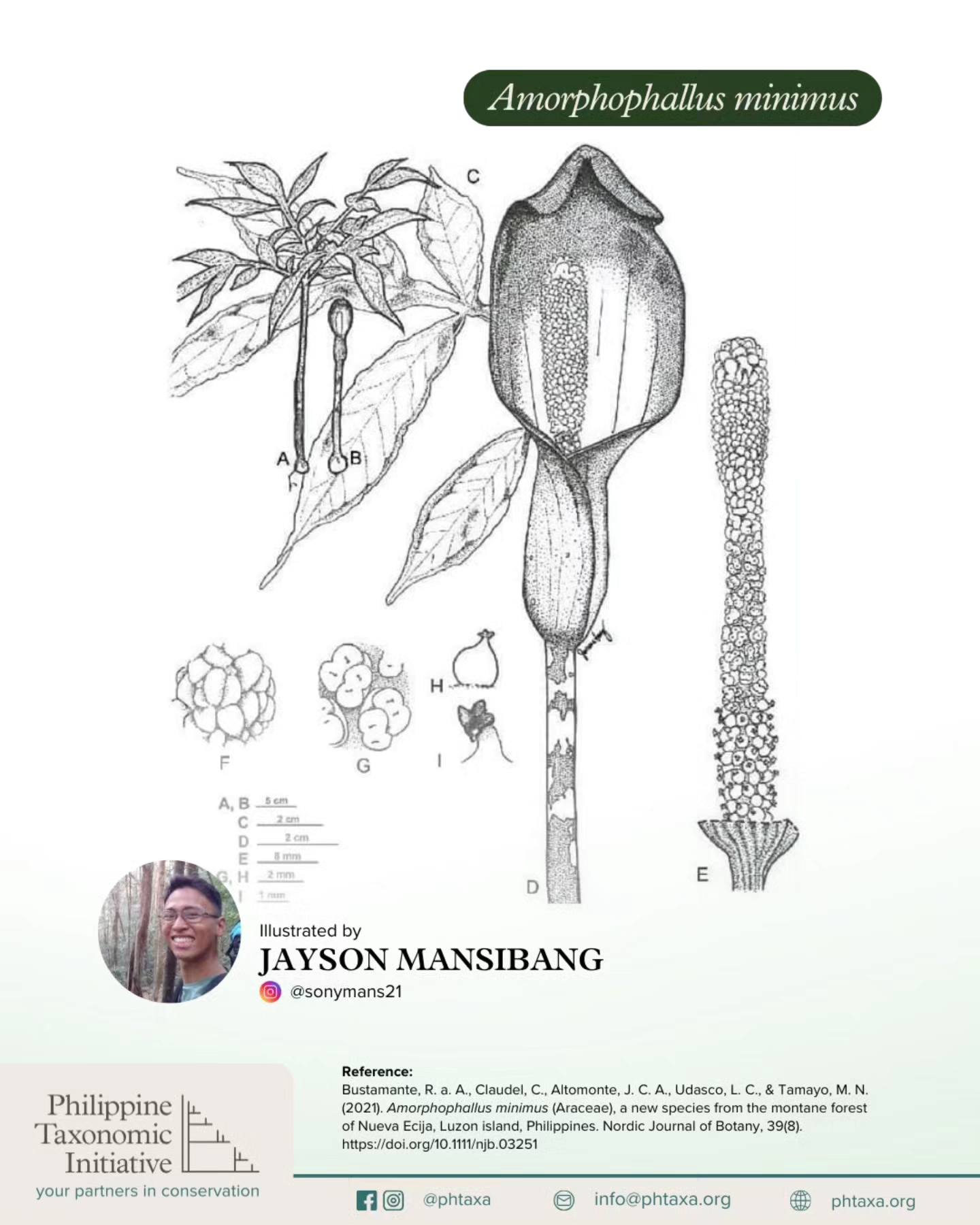 Philippine Taxonomic Initiative | El Nido