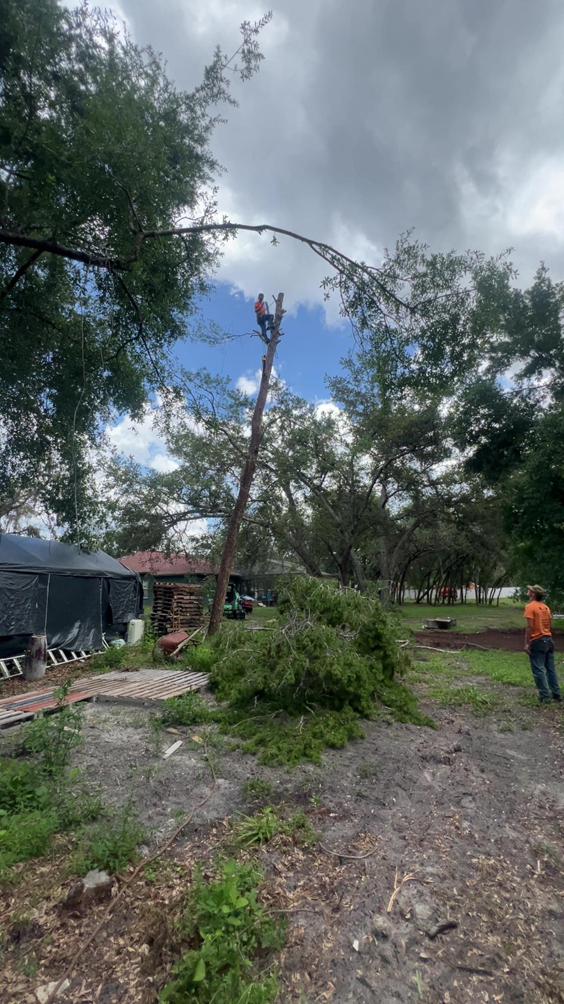 Raking It In LLC | Spring Hill FL