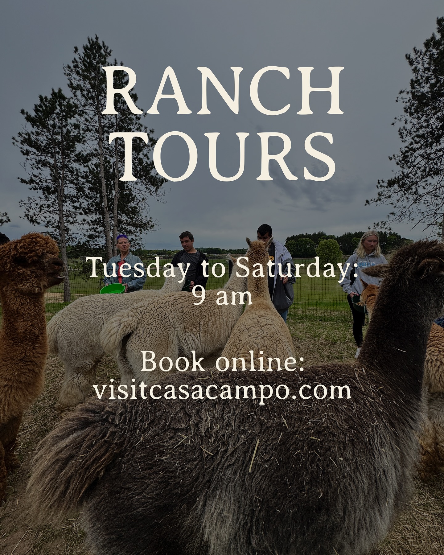Casacampo Alpaca Ranch | Wisconsin Dells WI