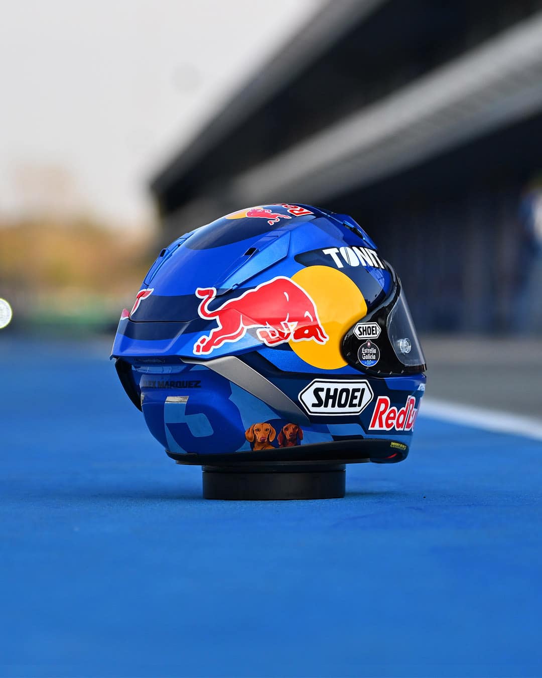 alex marquez shoei helmet X-SPR Pro V2 TC-2 The helmet is designed for unisex riders and is available in size L How To Paint Alex Marquez