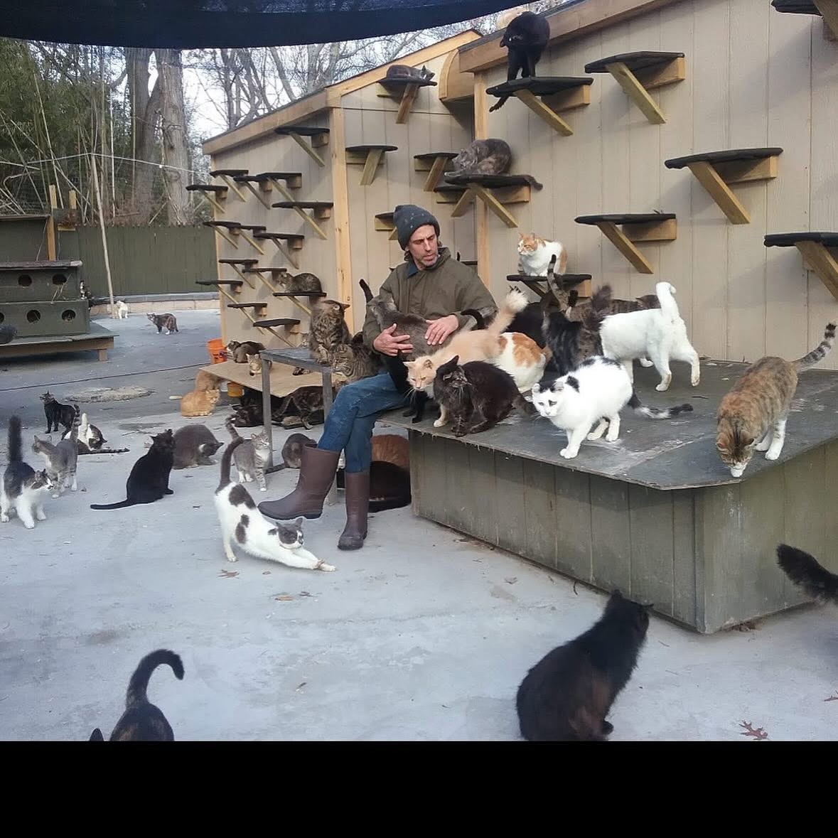 Hug-a-Bunny Rabbit Rescue | Waldwick NJ