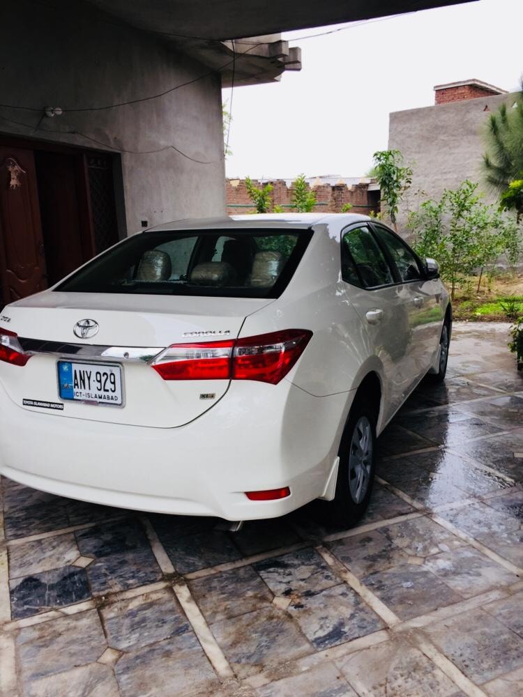 Ali Rent A Car علی رینٹ اے کار | Jhelum