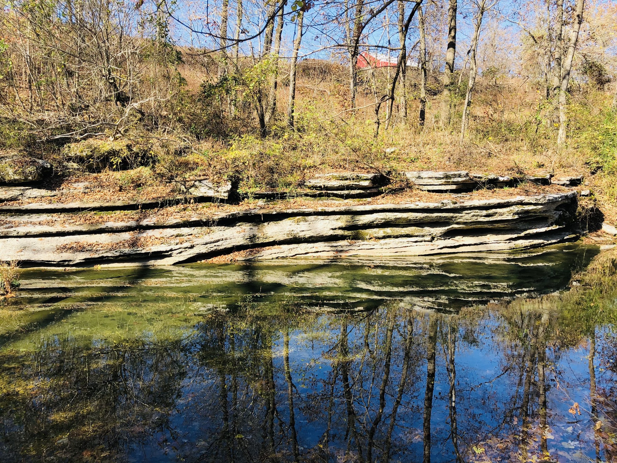 Flint Creek Headwaters Preserve | Springtown AR