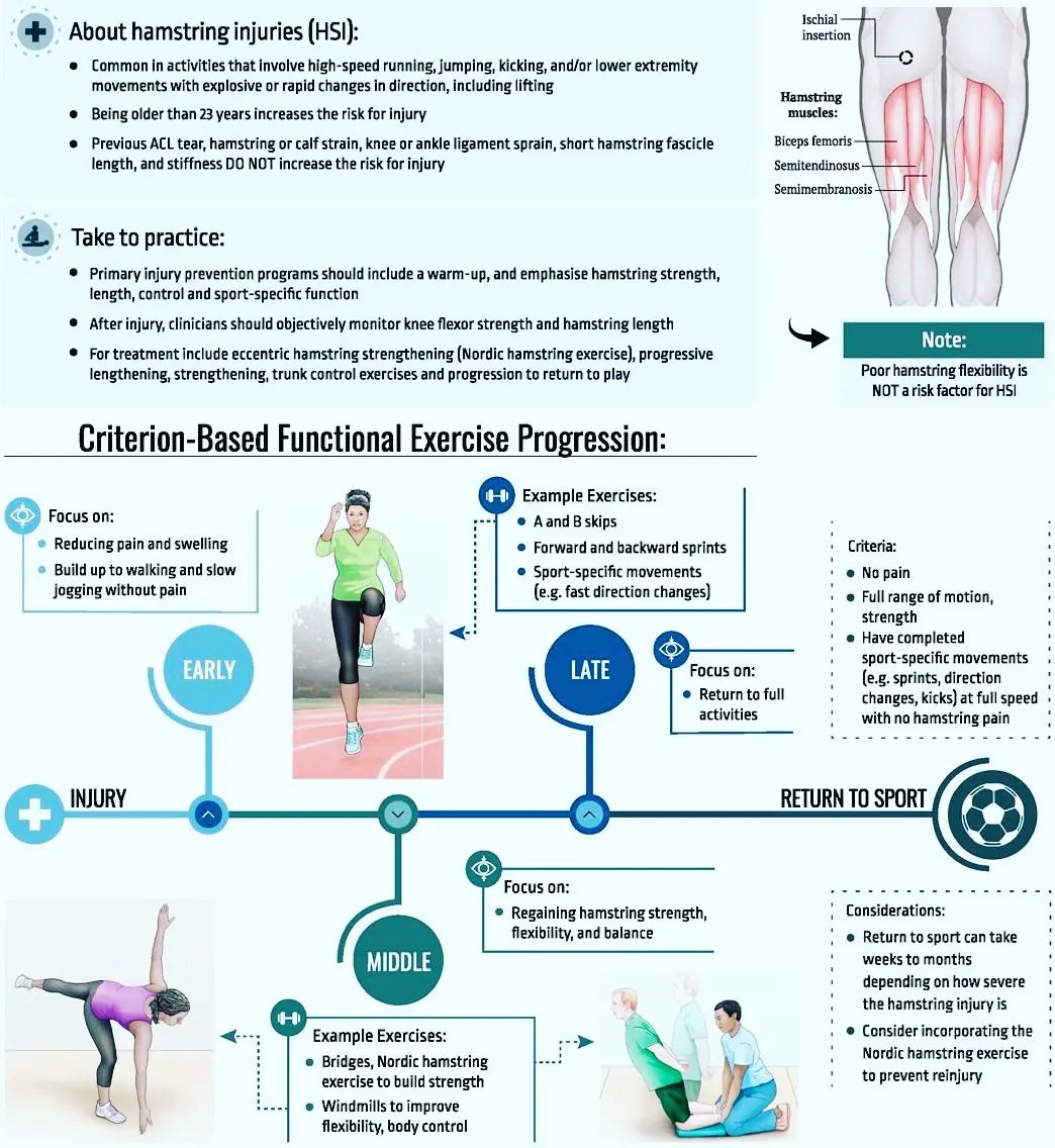 Hamstring injuries #physiotherapy... - The Nepali Physio | Facebook