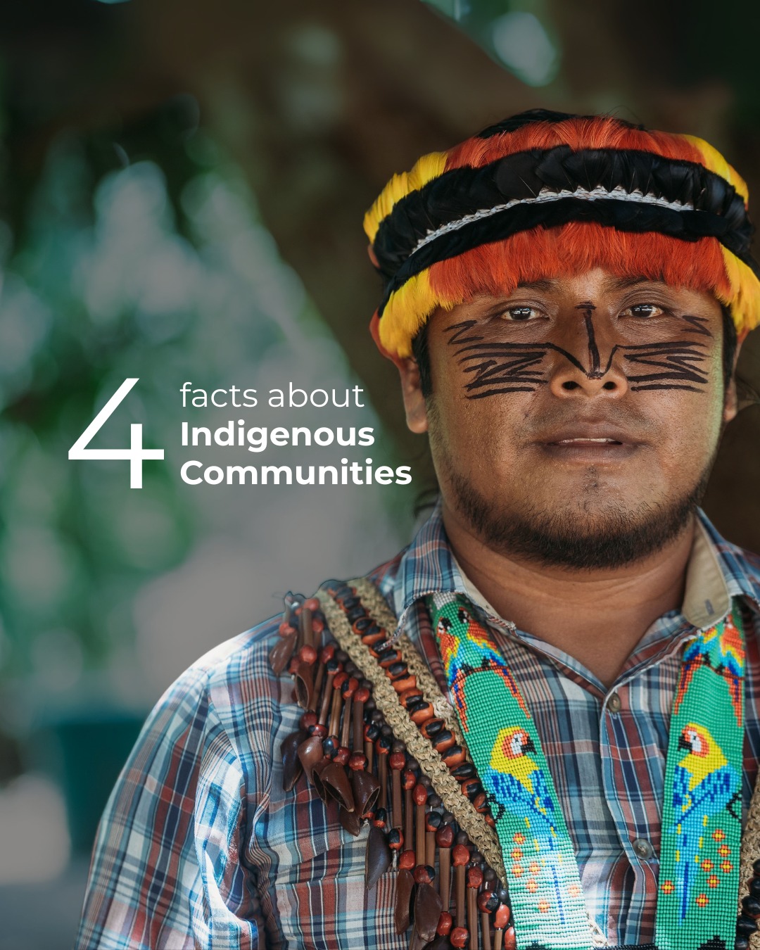 Indigenous communities around... - Children of the Rainforest | Facebook