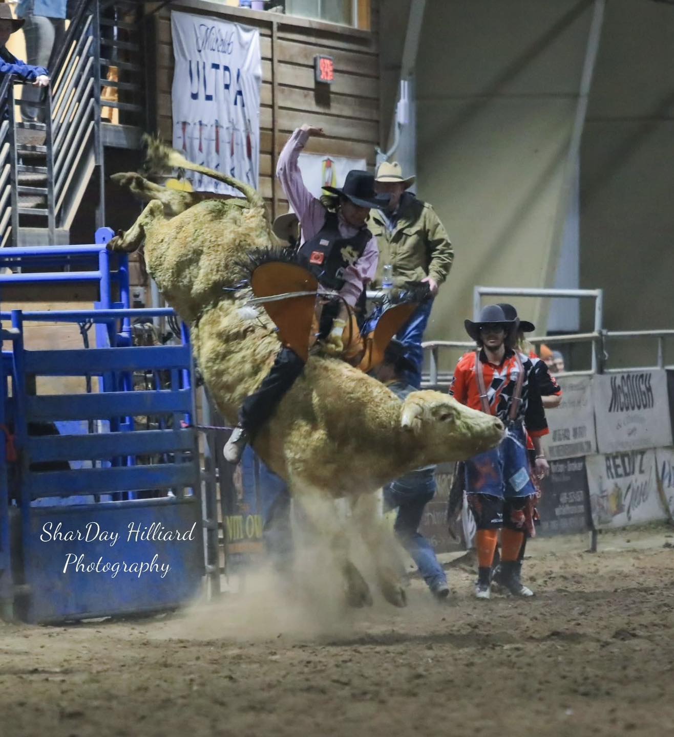 Brash Rodeo | Columbia Falls MT