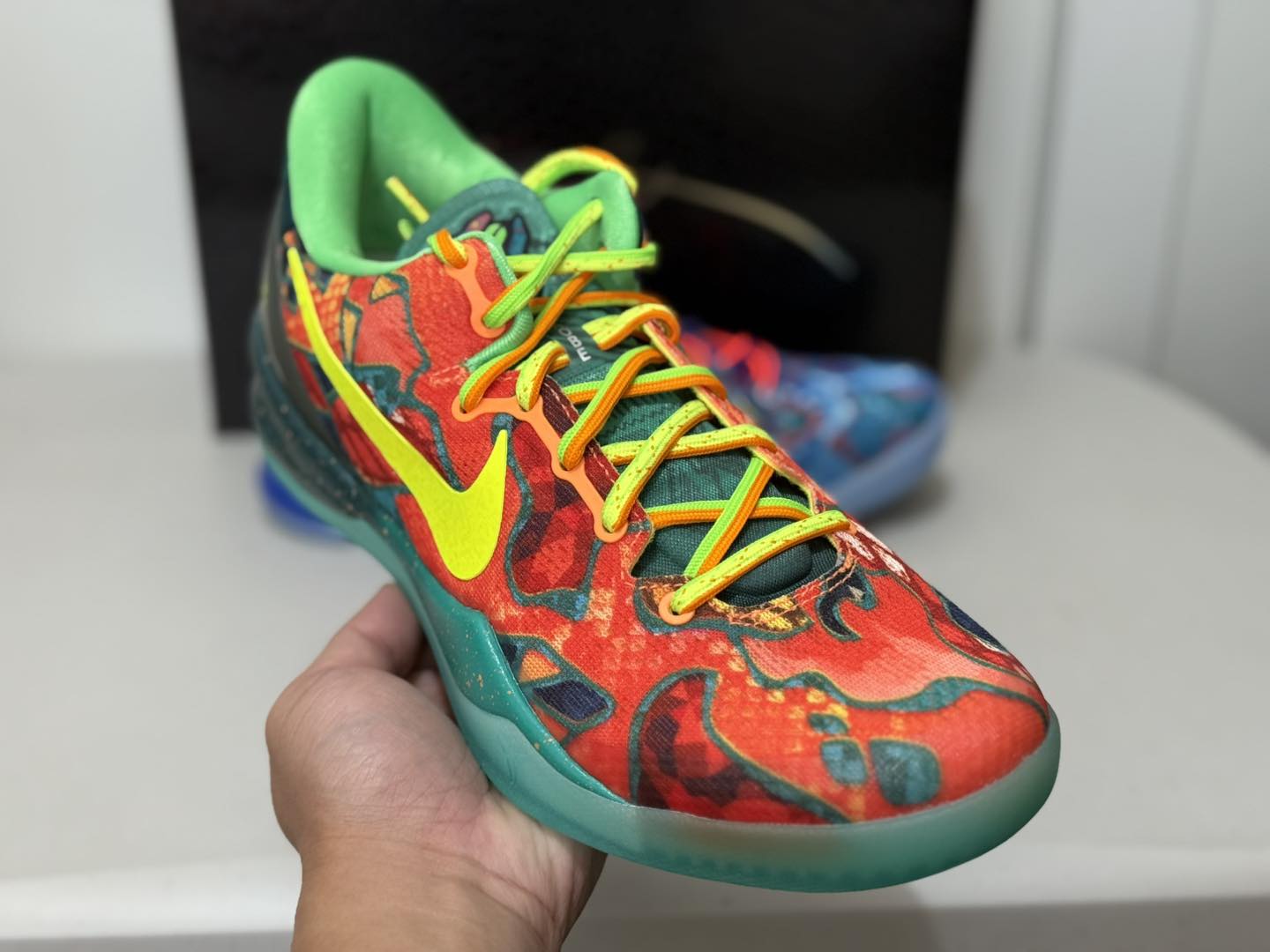 Kobe 8 protro 