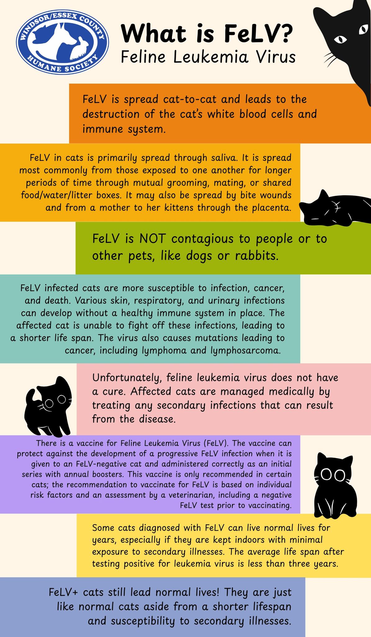 Visual Reference: Windsor Essex County Humane Society