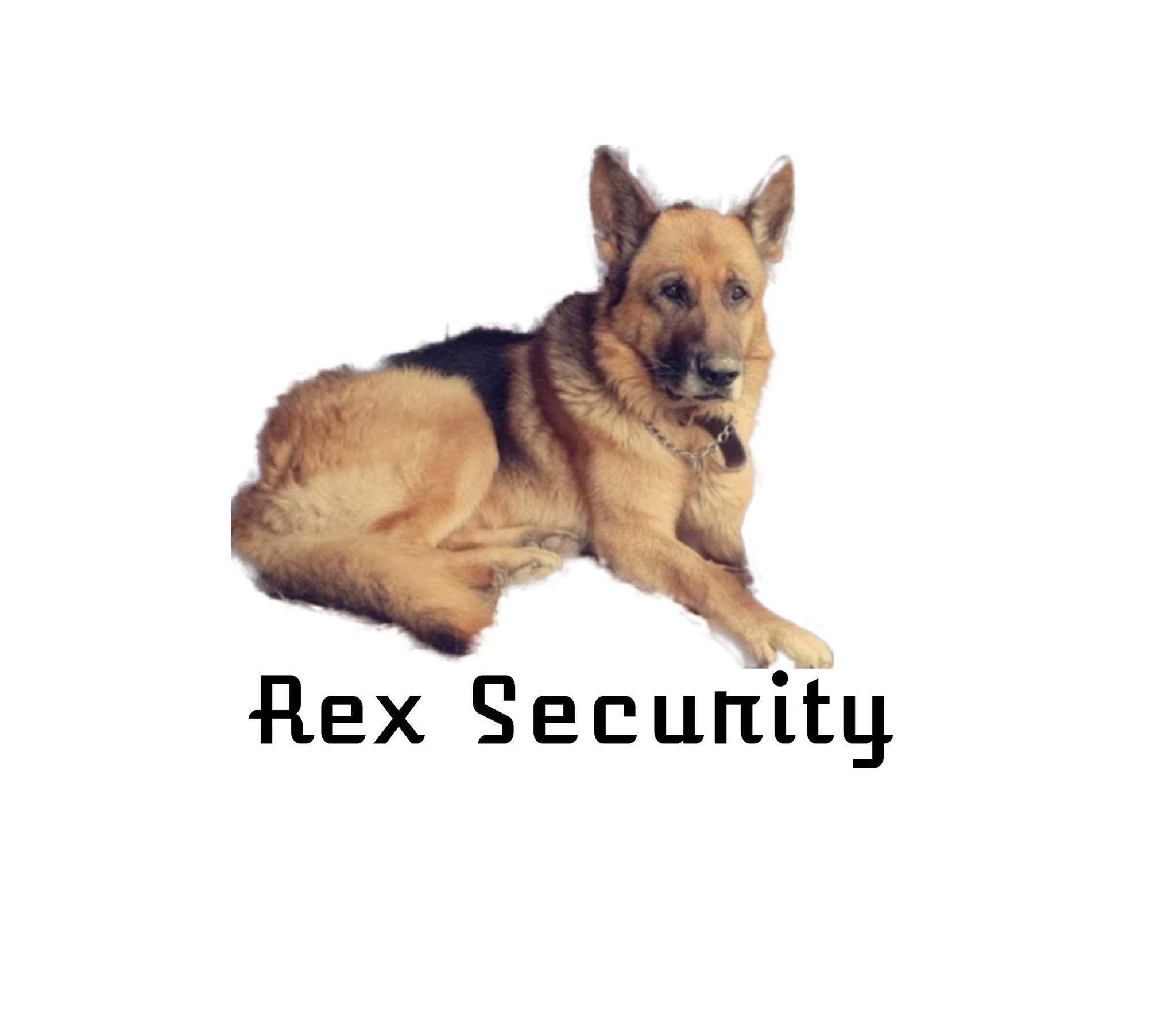 Rex Security Services