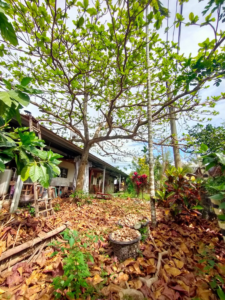 萬金 紅土庄3號 Red clay village homestay | Pingtung