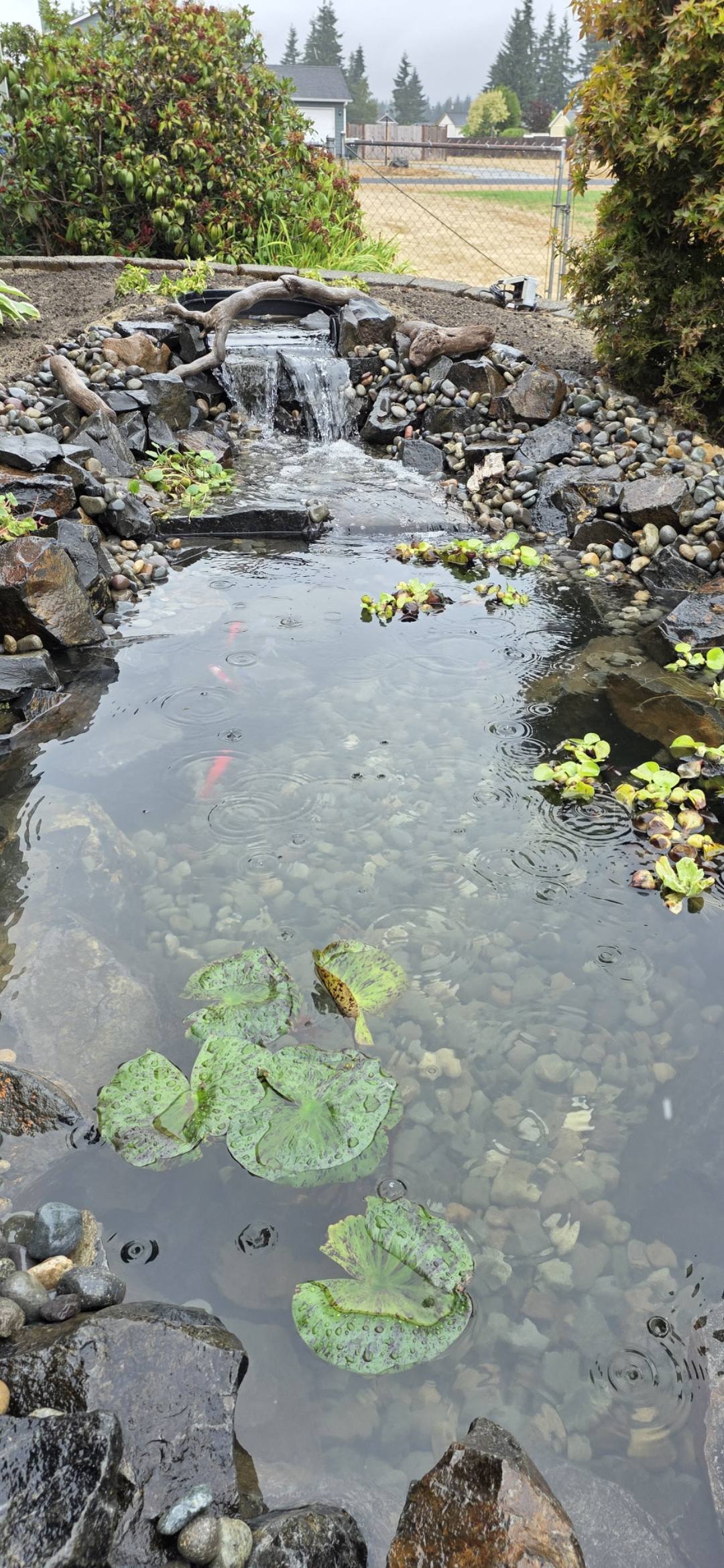 StoneBrook Farm, Garden... - StoneBrook Farm, Garden and Pond