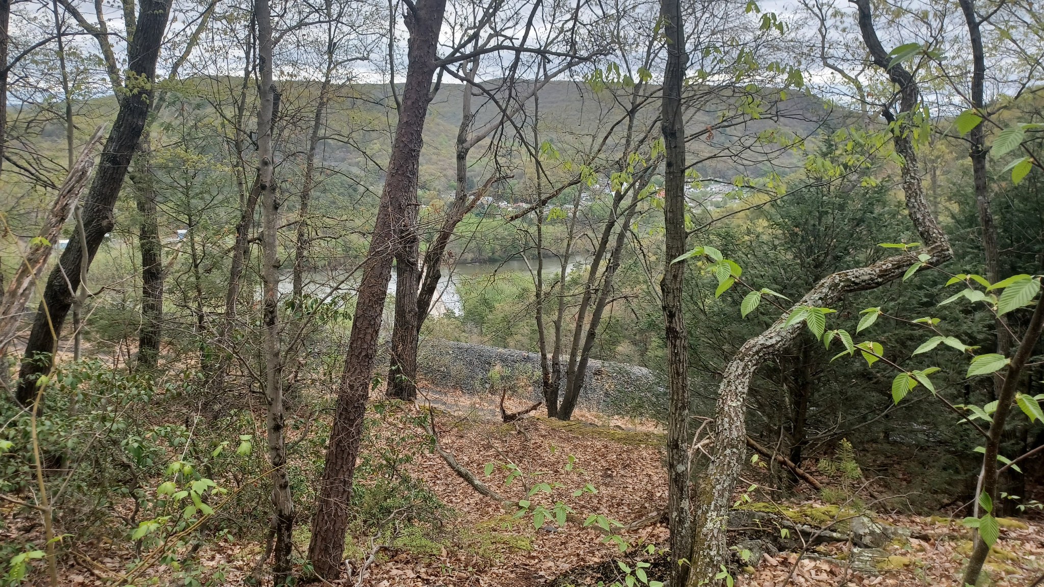 Metrotrails - A view through trees to the North Branch of the ...