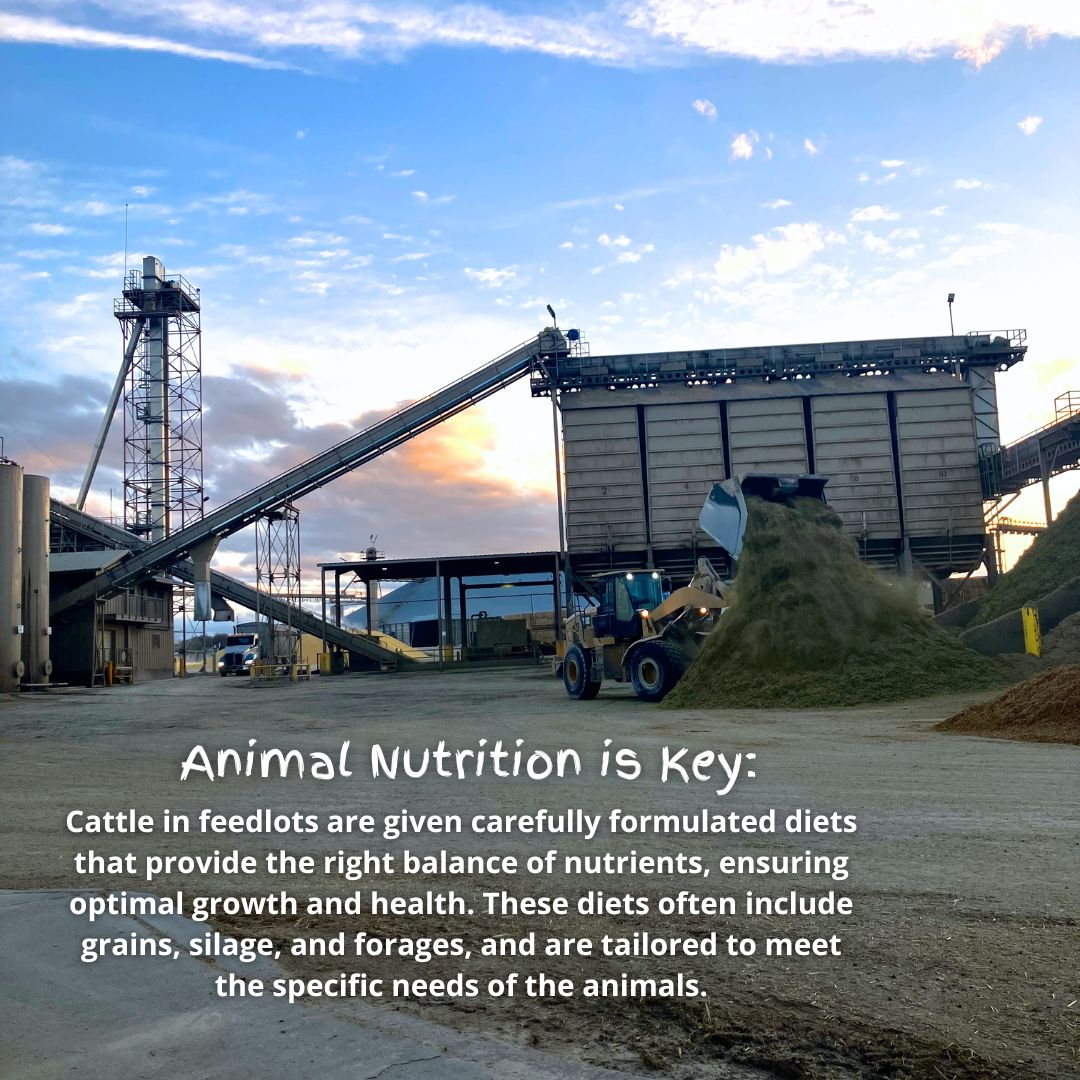 Happy National Ag Day! We're proud to... - Harris Ranch Beef | Facebook
