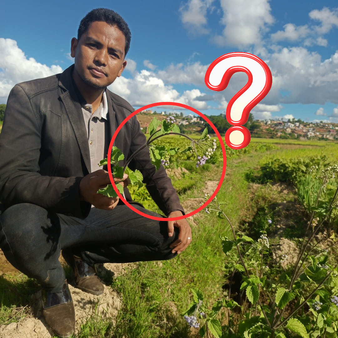 FANTARTRAO VE FA NY HANITRY NY... - Malagasy Mandroso | Facebook