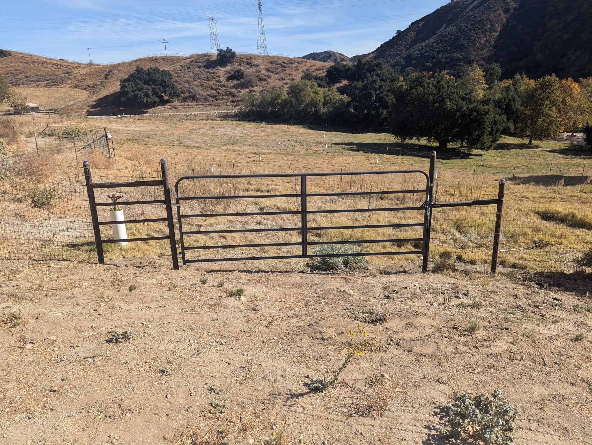 Ranch Performance | Castaic CA