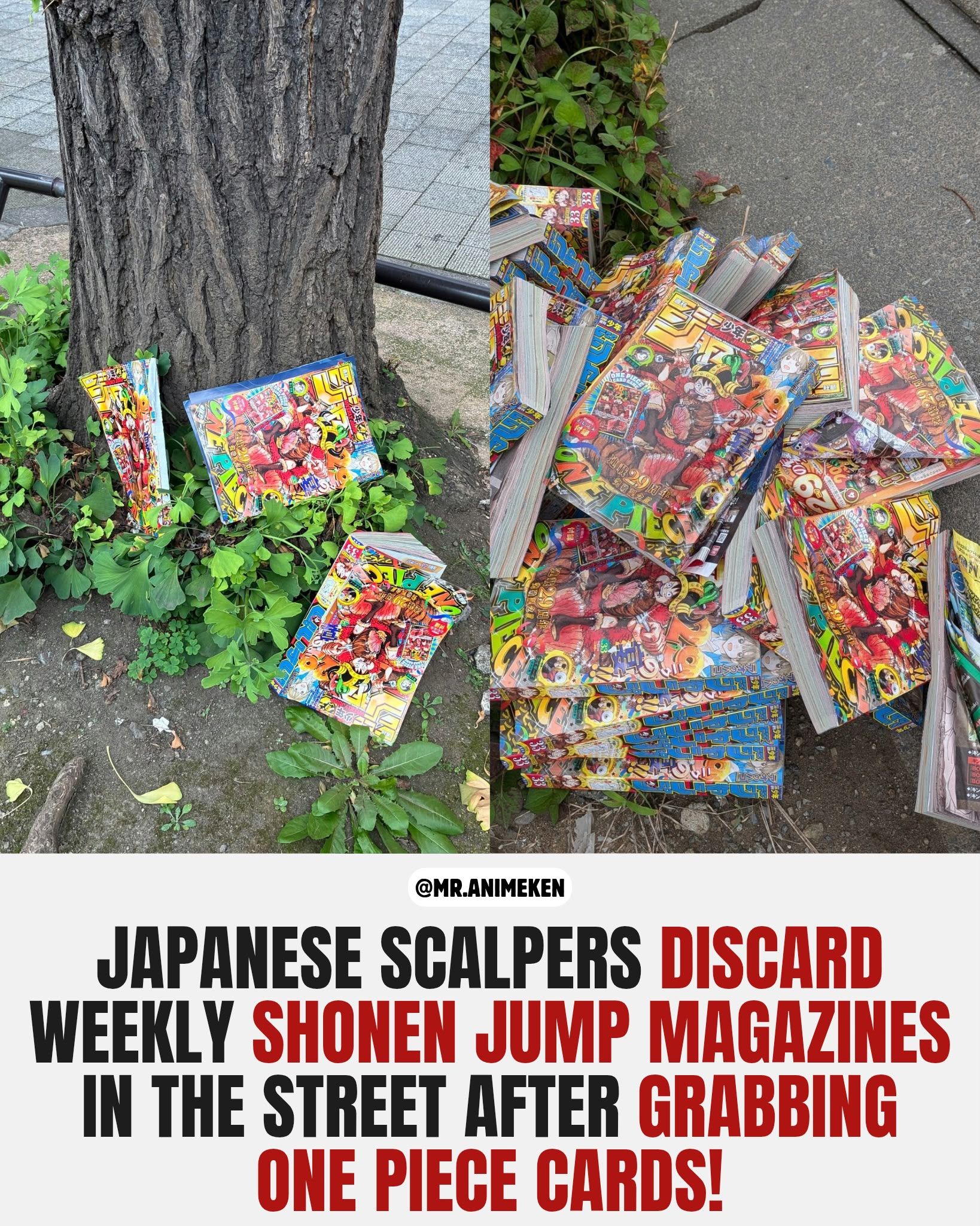 Japanese fans are frustrated after resellers bought out this