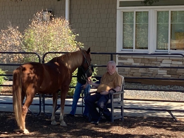 DLB Ranch, Inc | Cottonwood CA