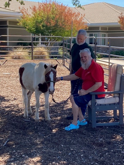 DLB Ranch, Inc | Cottonwood CA