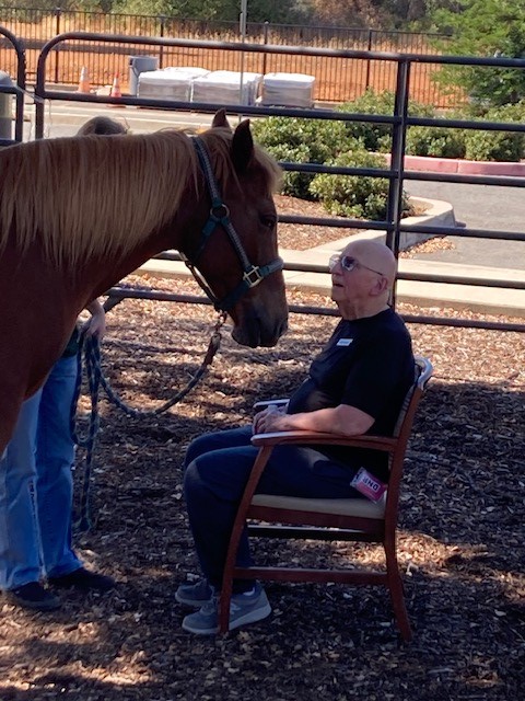 DLB Ranch, Inc | Cottonwood CA