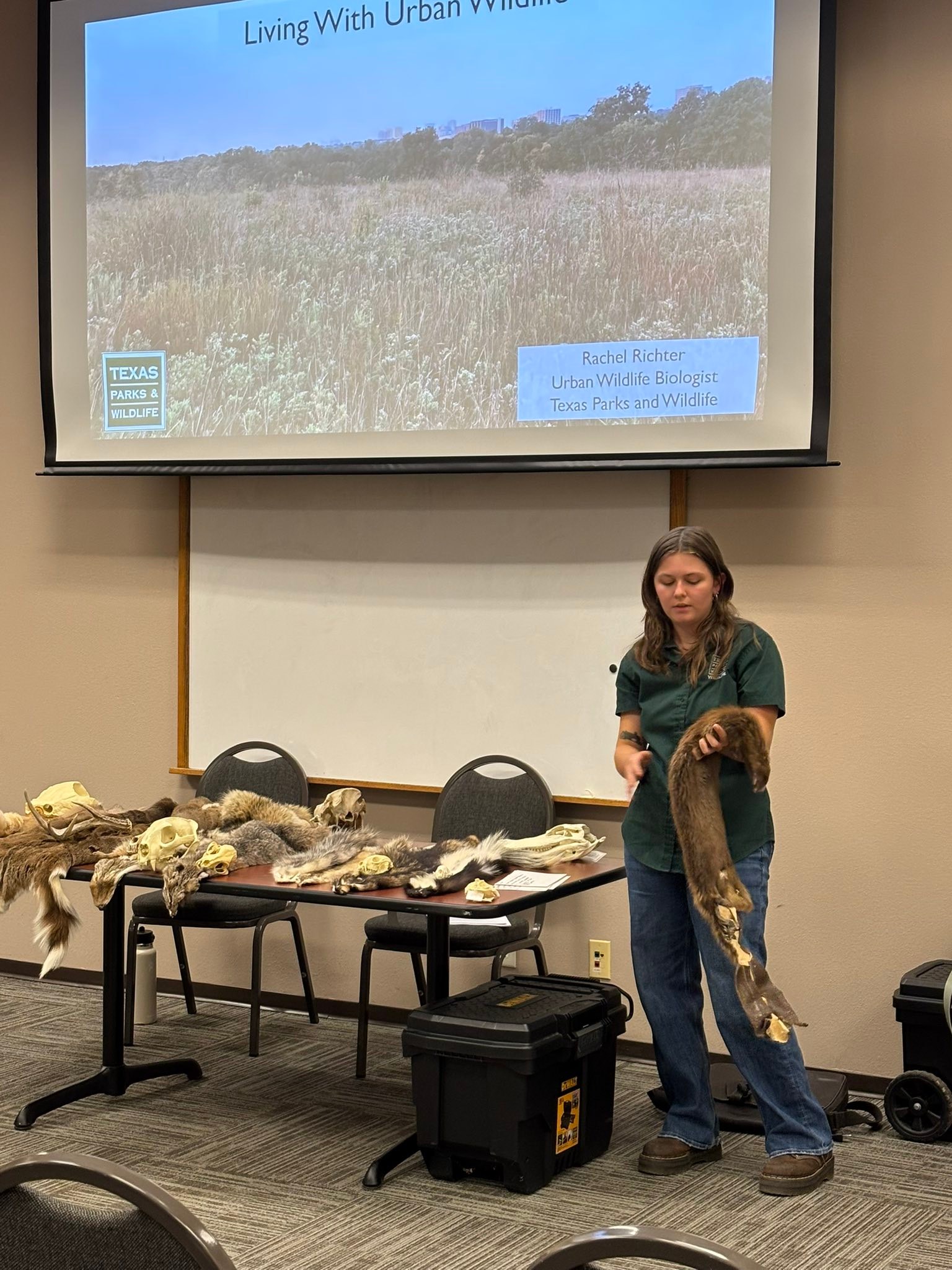 Texas Parks and Wildlife-DFW Urban Wildlife