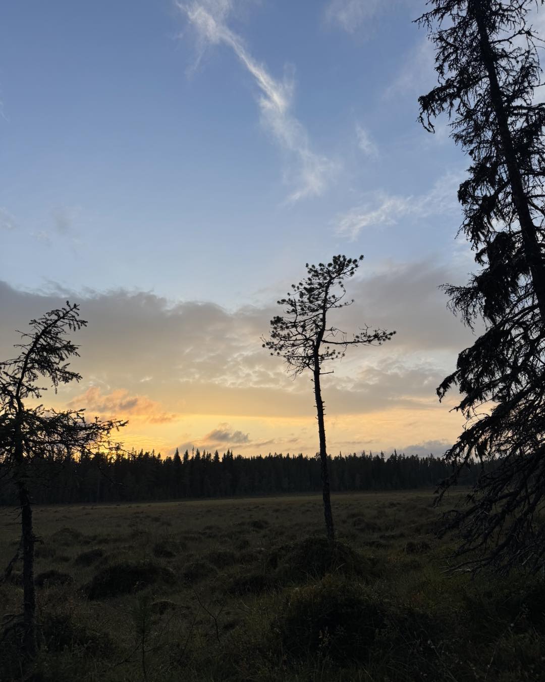 Venabygdsfjellet | Åpningstider på Hev Ringebu uke 39 (åpent hver dag ...