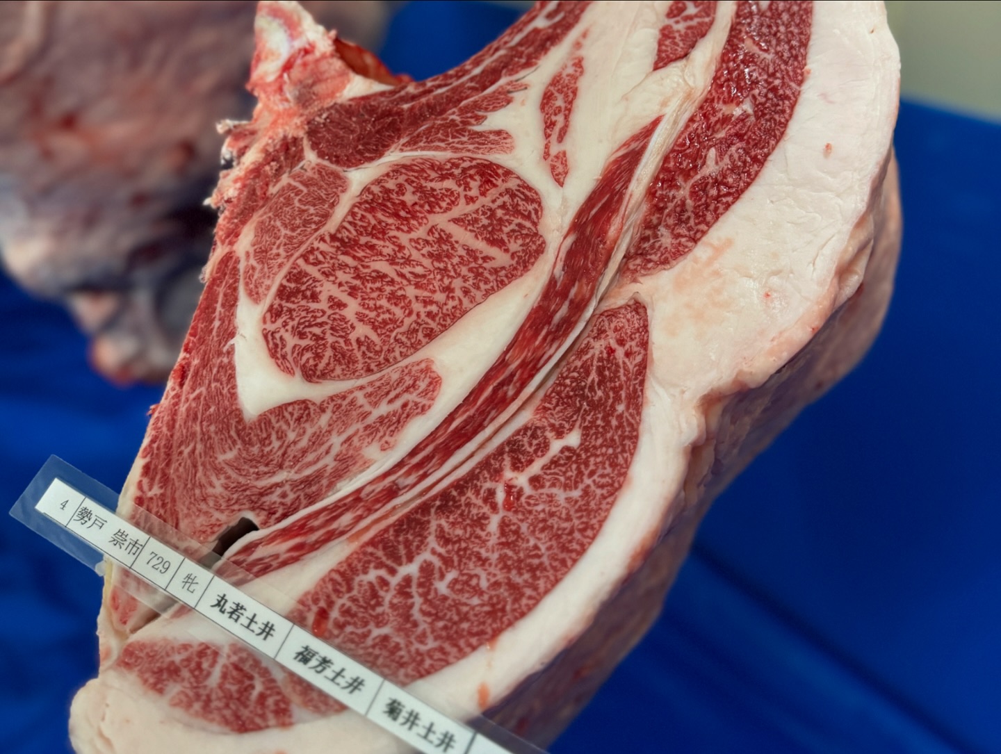 焼肉 飛苑 | Kobe-shi Hyogo