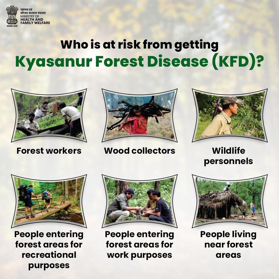 #KyasanurForestDisease | Kyasanur Forest Disease mainly affects those ...