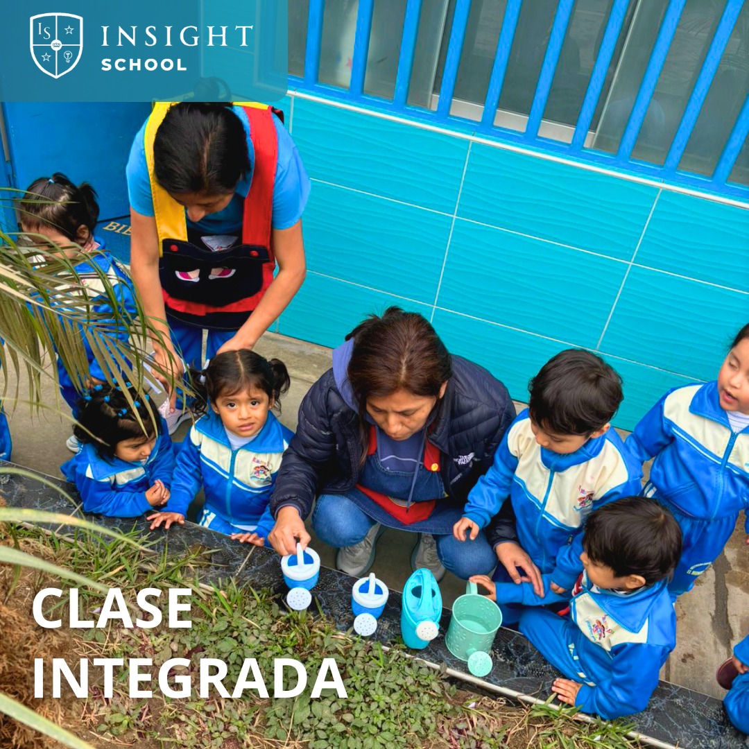 🌱 Clase de Integrado:... - El mundo kids - Insight School