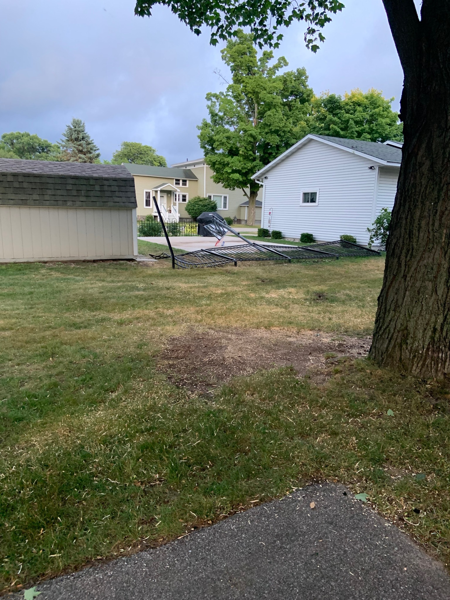 Homestead Tree Service LLC