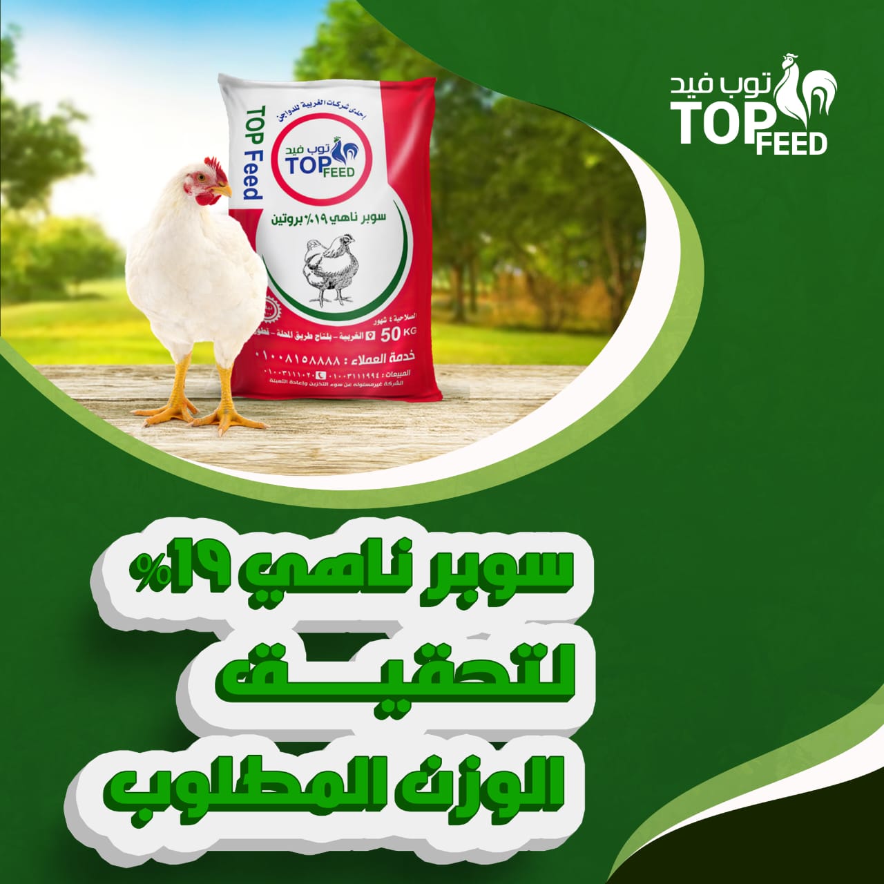 مصنع - عشان توب فيد وعداك بدورة متكاملة👌 هنكمل معاك في البلدي والساسو ...