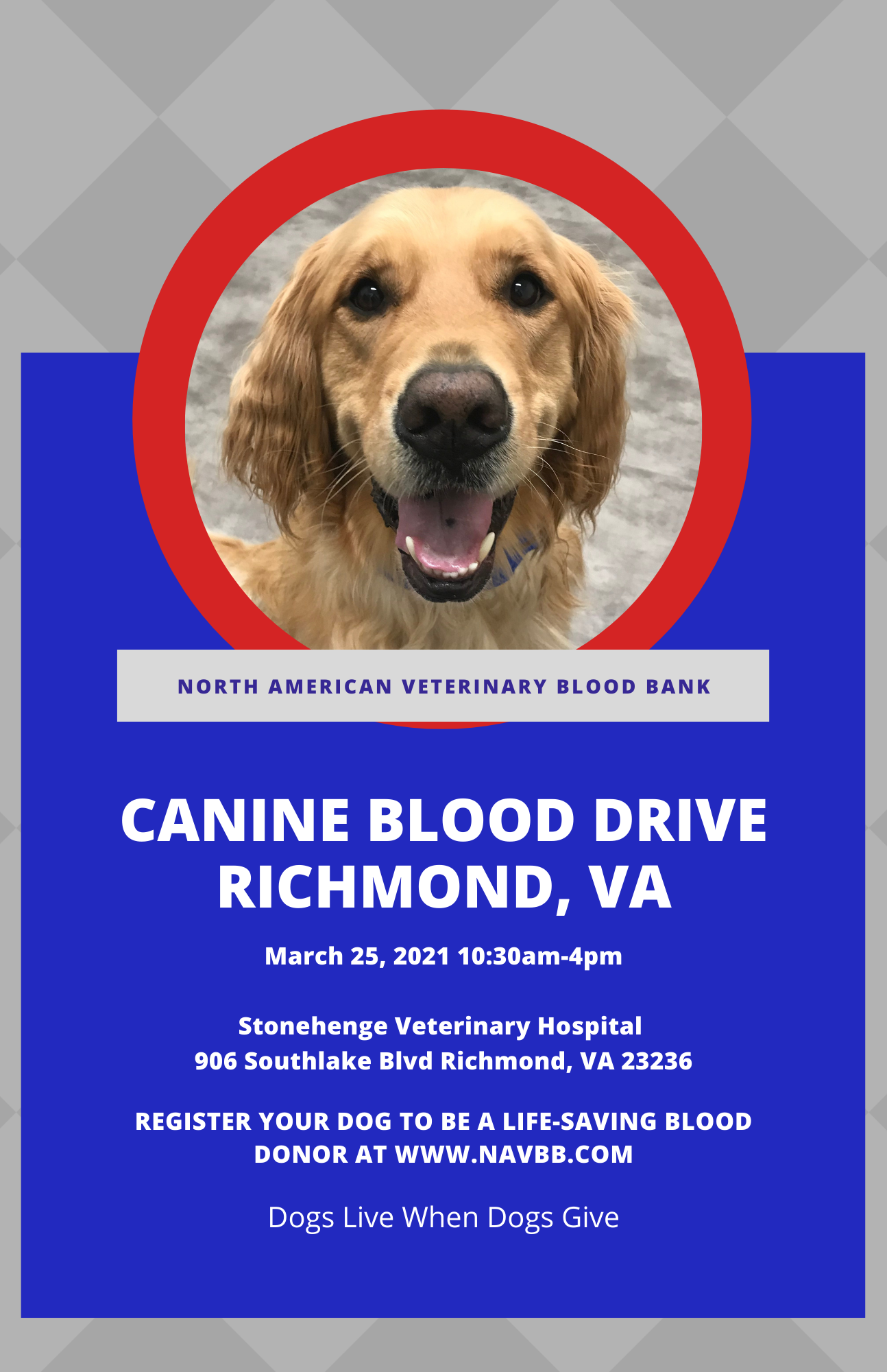 NAVBB - ‼ Hey Richmond Friends ‼ NAVBB will be at... | Facebook