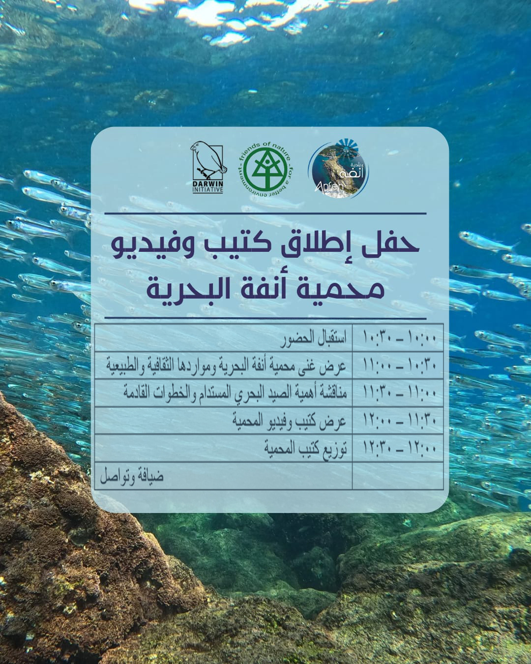 Municipality Of Anfeh - بلدية أنفه | Enfé