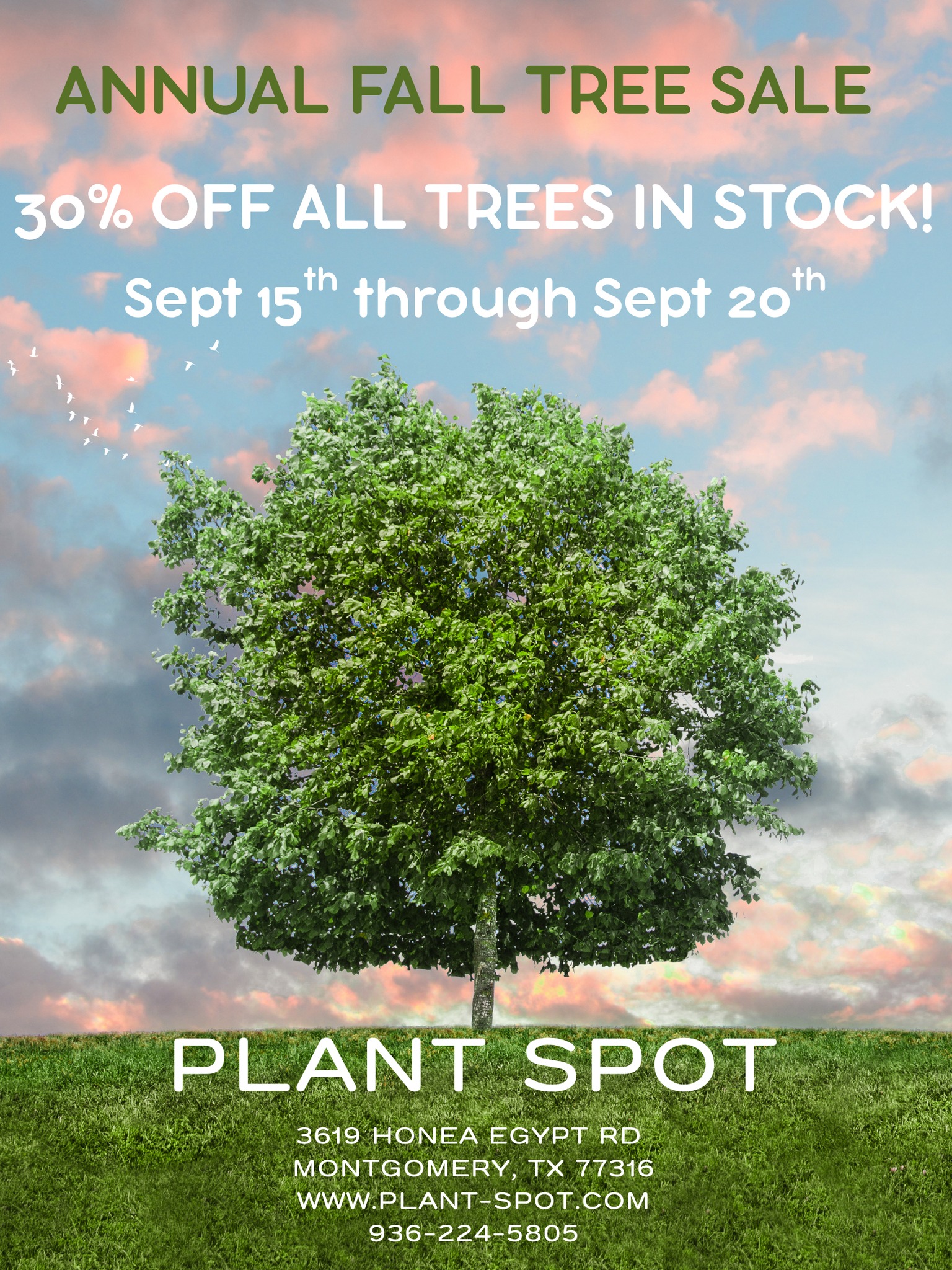 Fall Tree Sale!!