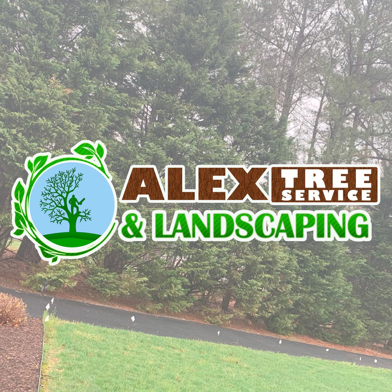 Alex Tree Services