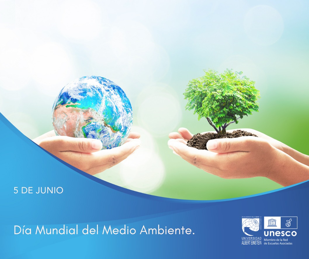 Universidad - 🌱 Hoy celebramos el Día Mundial del Medio Ambiente 🌍 Cada ...