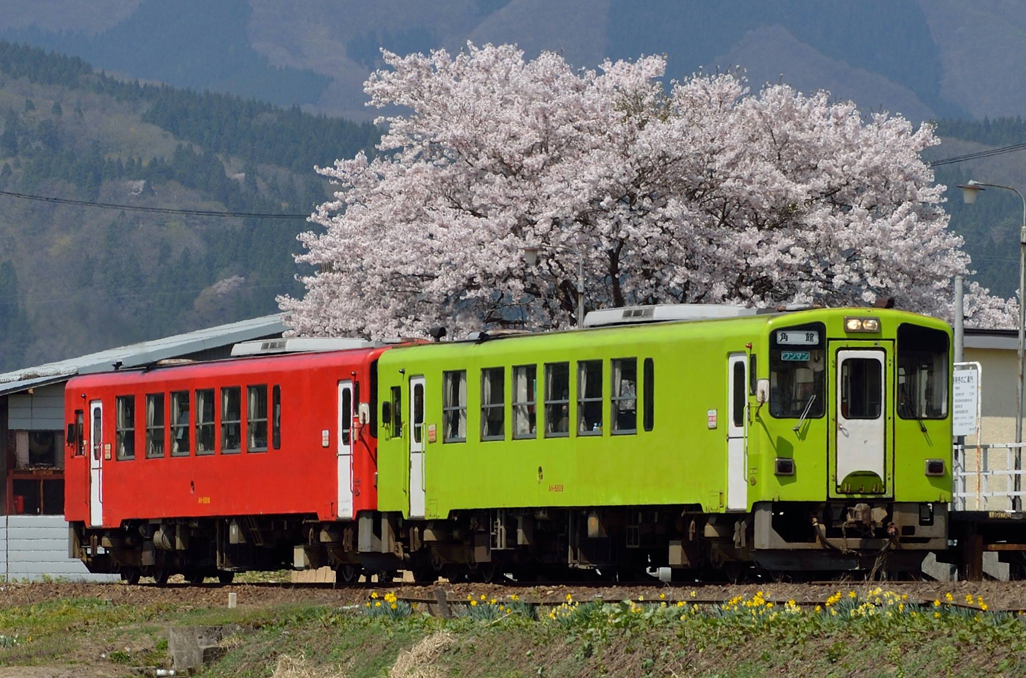 秋田内陸縦貫鉄道株式会社 - トミーテック・鉄道コレクション「秋田