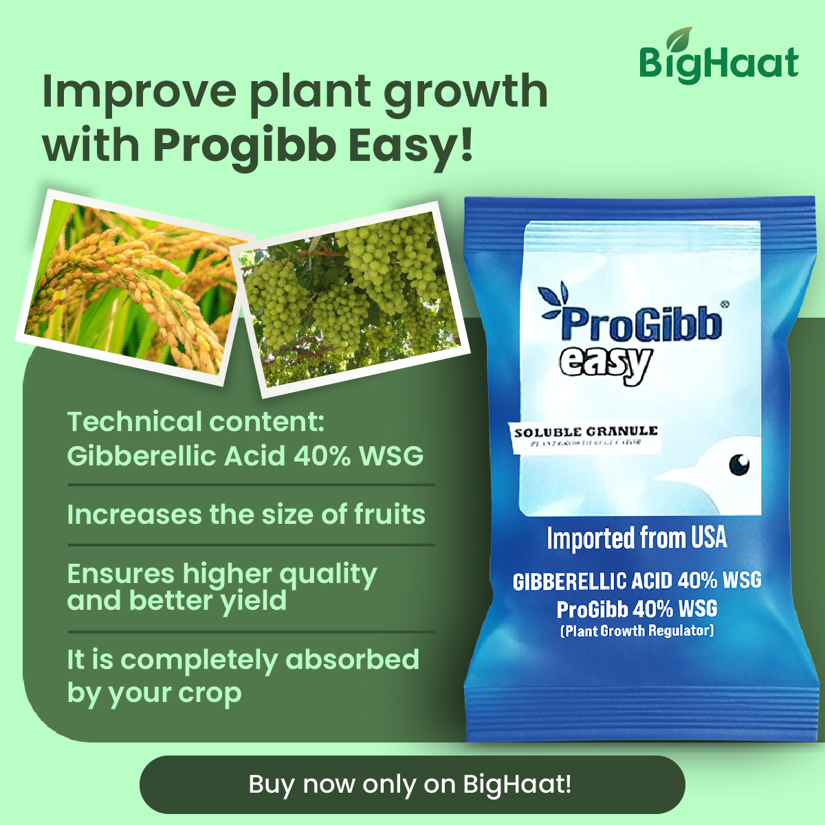 BigHaat - Progibb Easy contains 10% more gibberellic acid than other ...