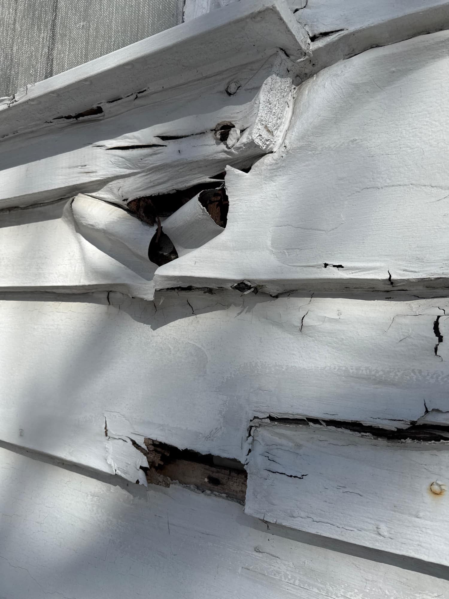 Sentinel Inspections, LLC