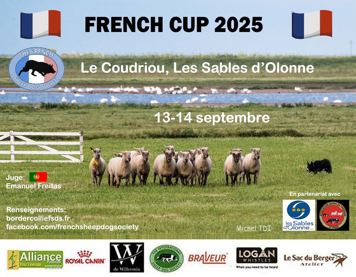 French - Nous sommes heureux de vous informer que tous les 🥇🥈🥉 et 4ème ...