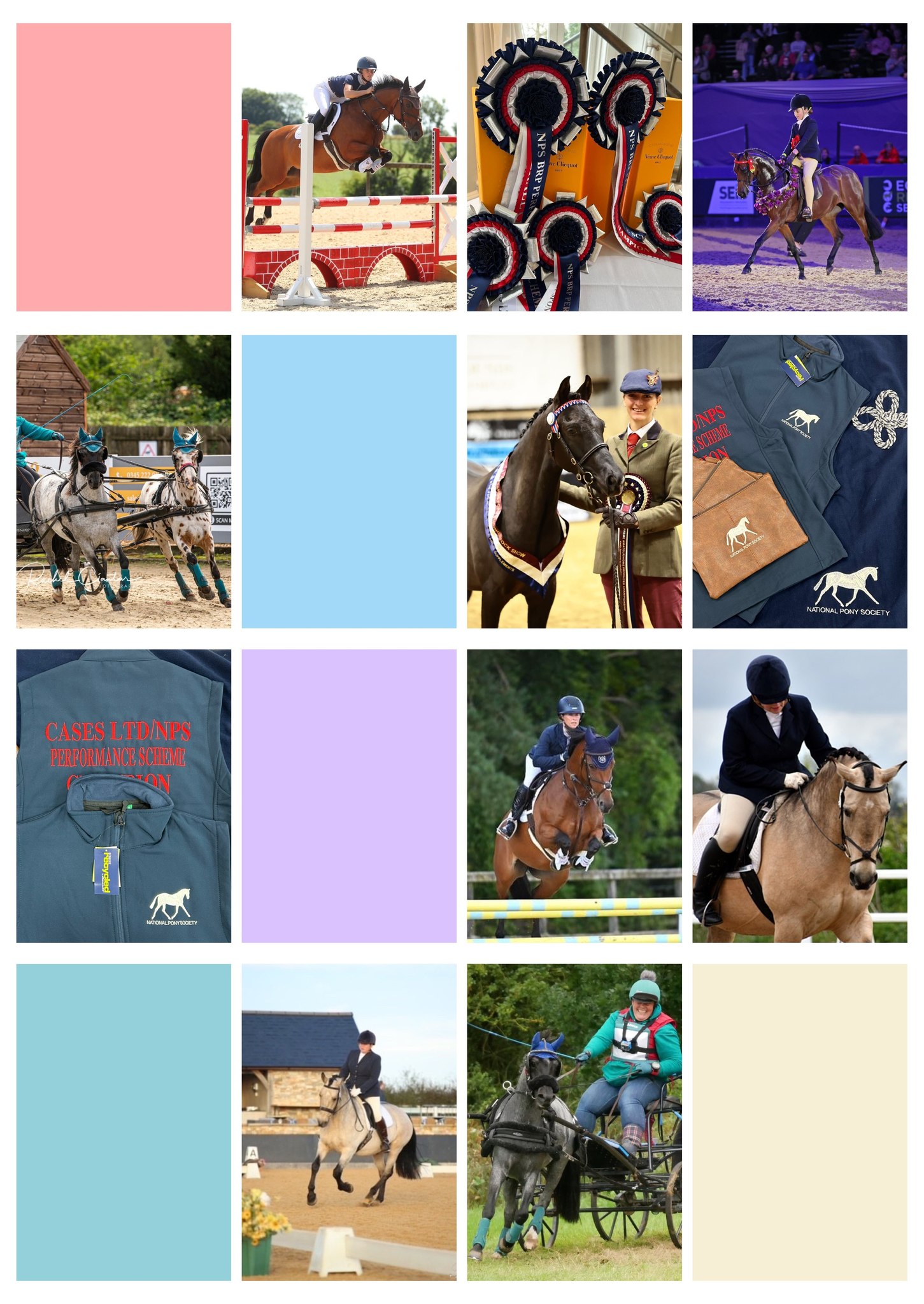 National - The British Riding Pony is truly showing its full potential ...