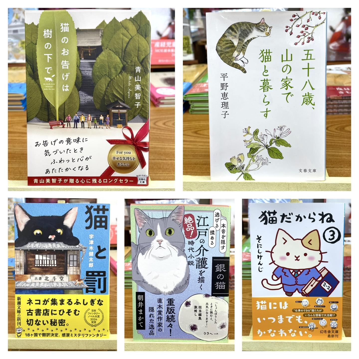 9/22(火)23(水)10:00-17:00 営業いたします 🐈リラックスタイムのお供