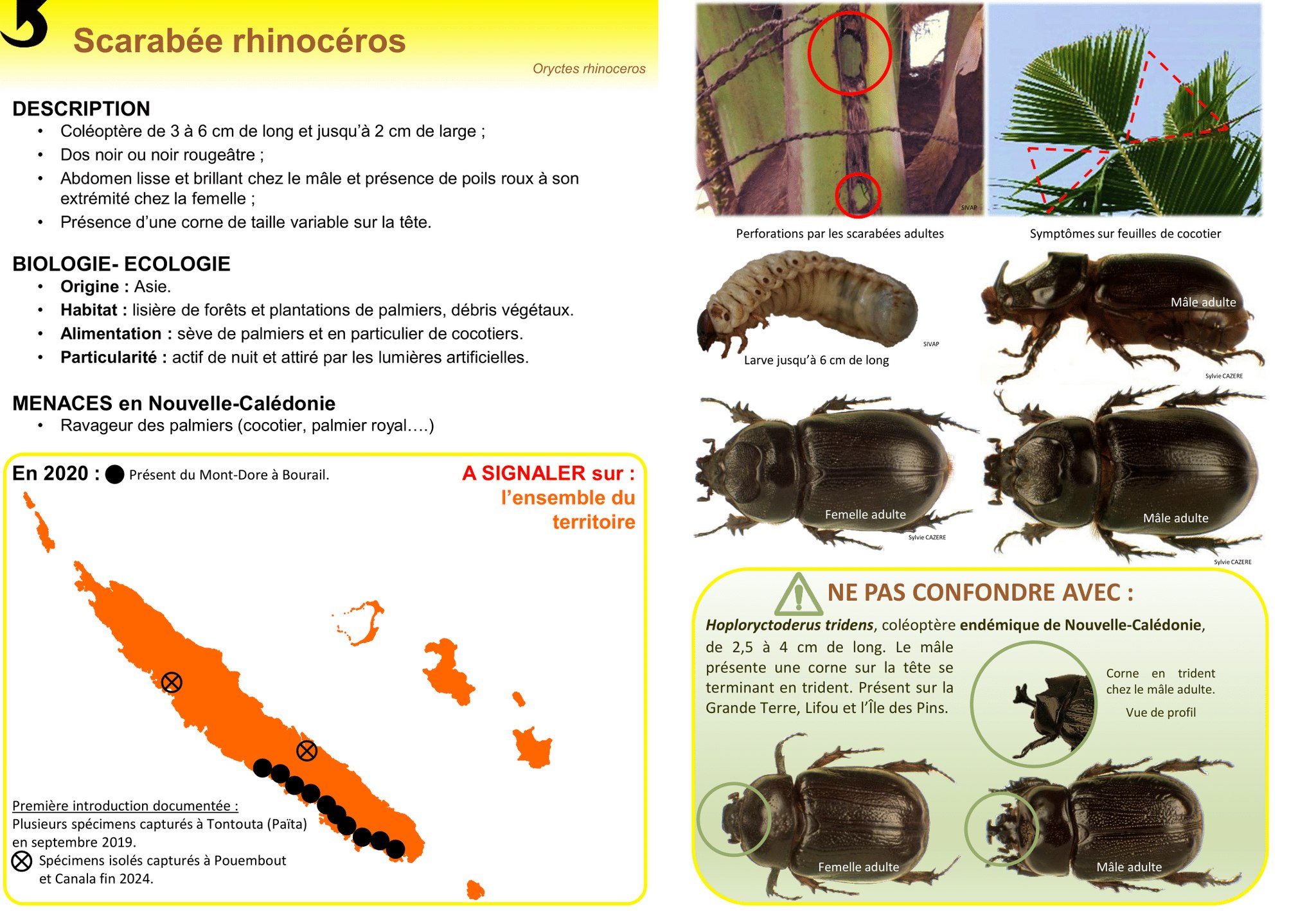 Agence... - Agence néo-Calédonienne de la Biodiversité