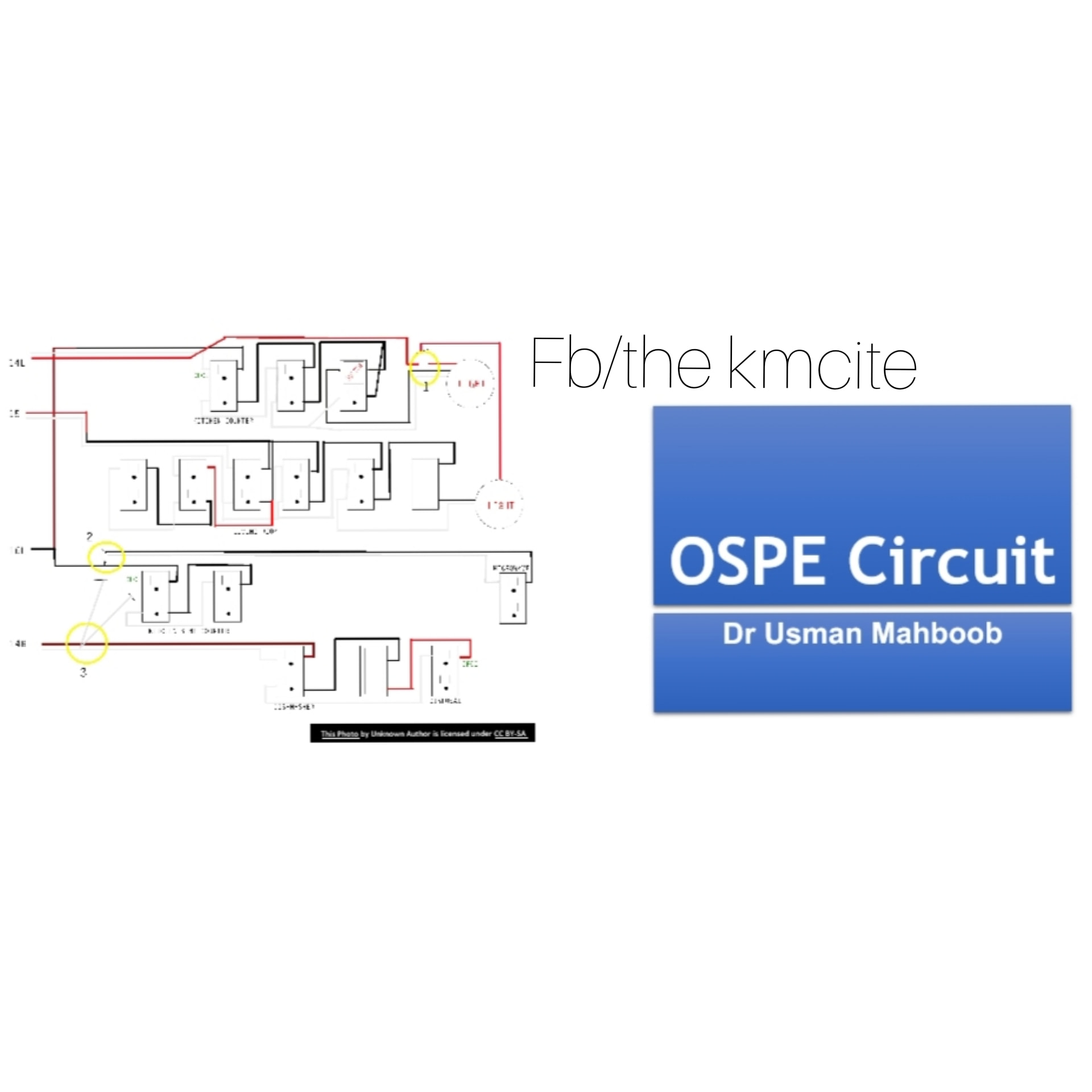 The Kmcite - Here Are Some of the Examples Of OSPE/VIVA...