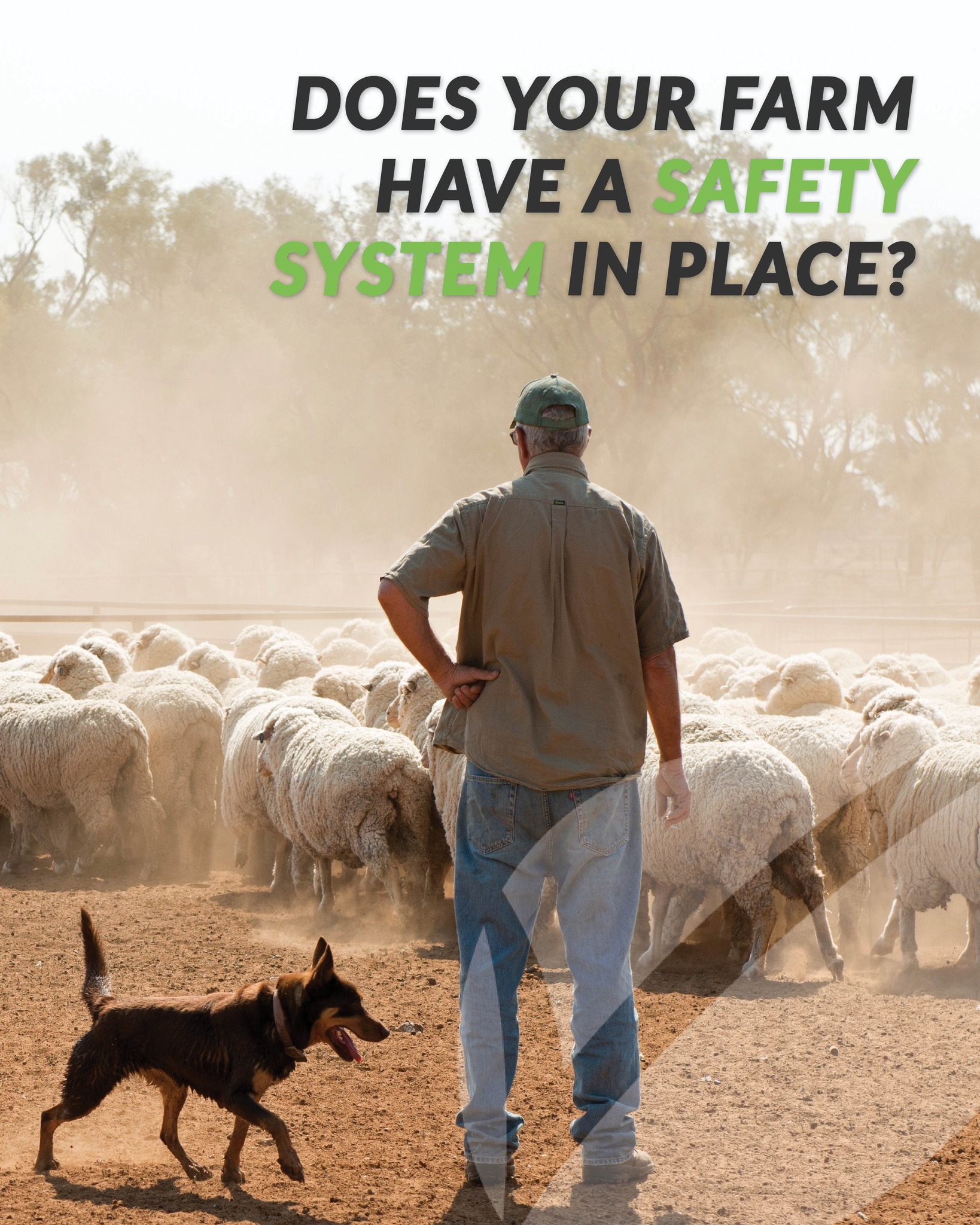 SafeFarms WA
