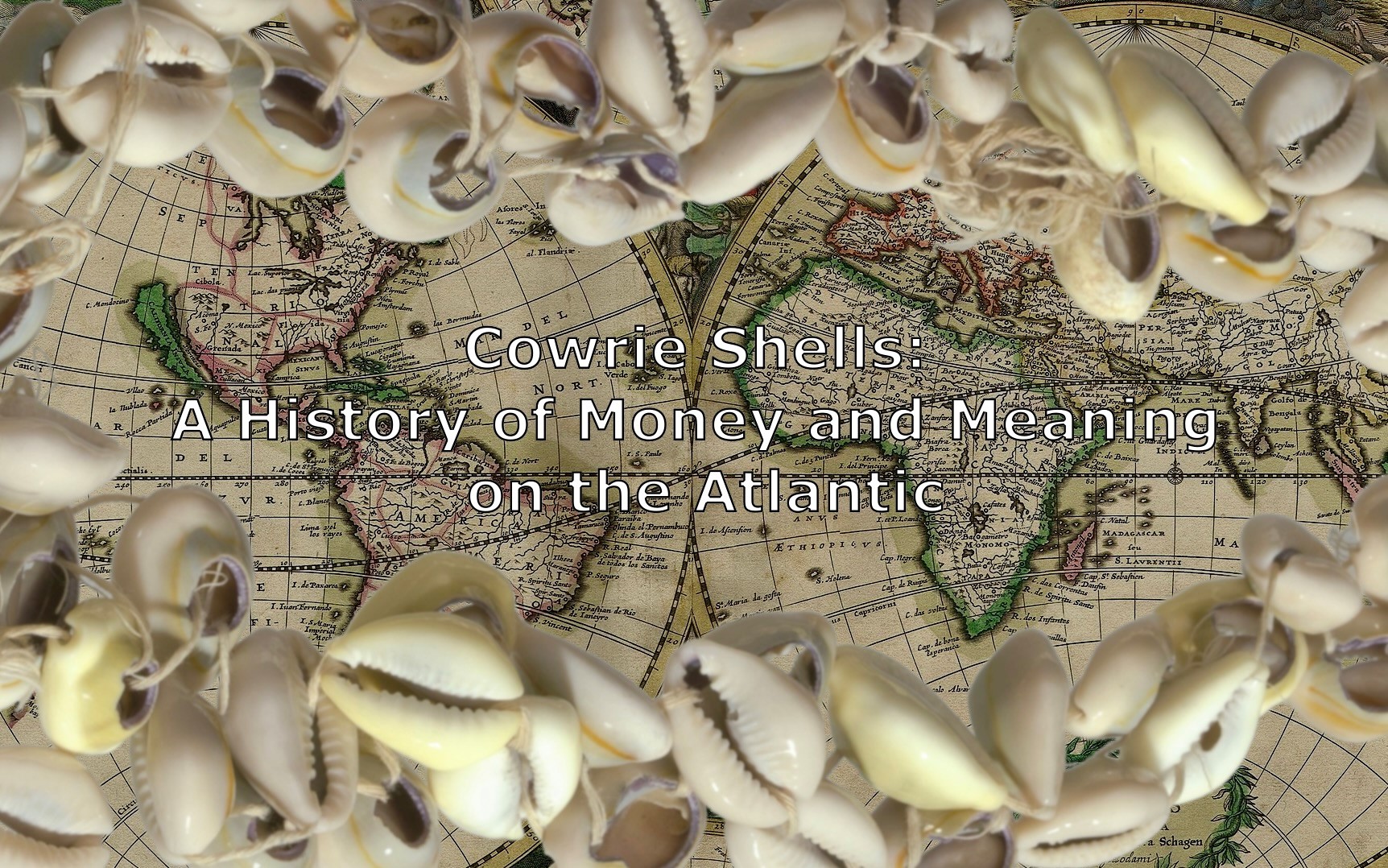 Cowrie Shells: A History of Money and Meaning on the Atlantic