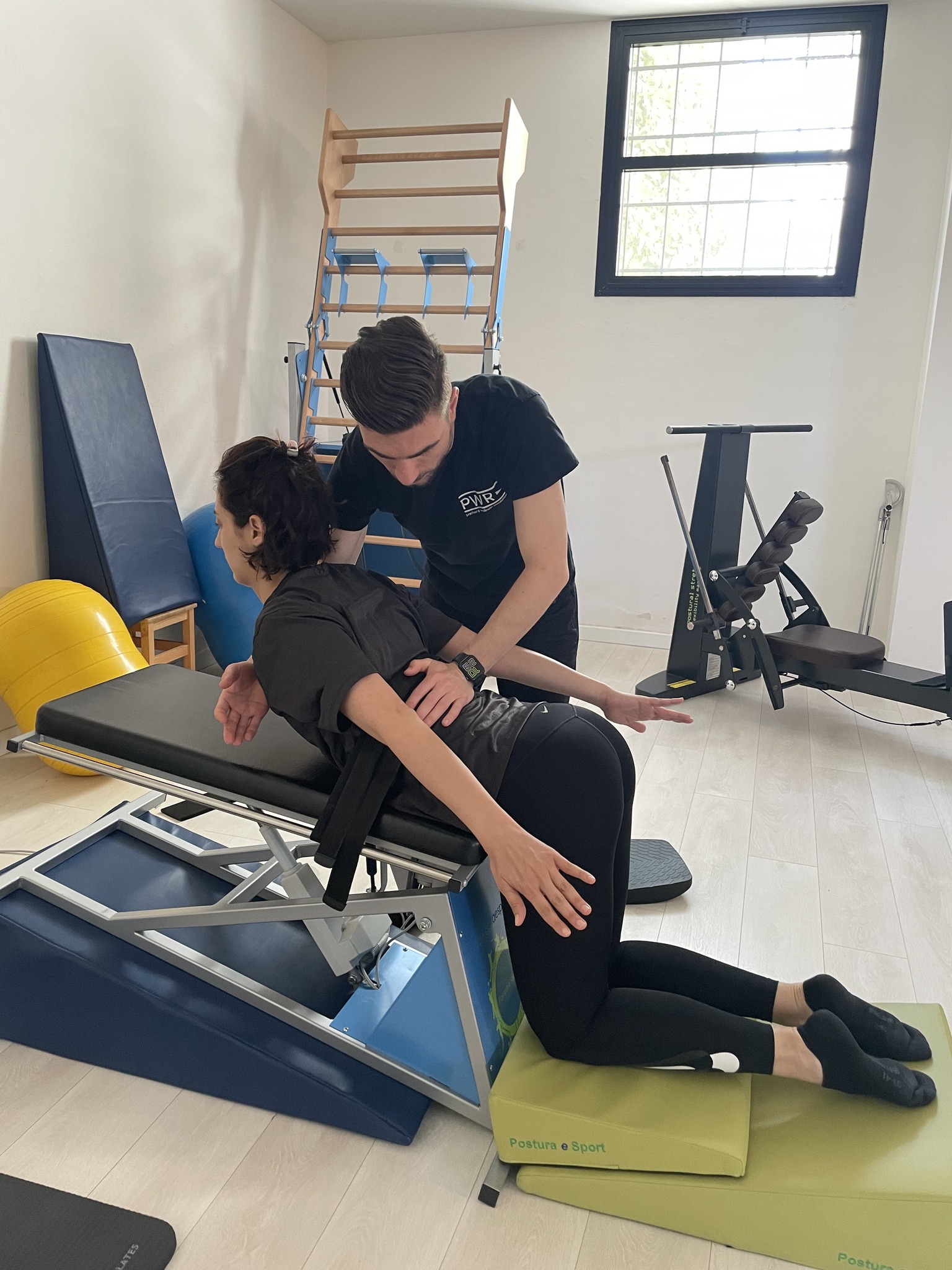 PWR Postural Wellness Revolution | Carpi