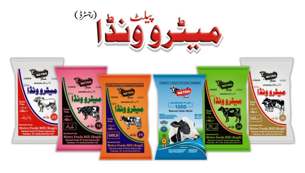 Dairy Lac Mailsi | Mailsi