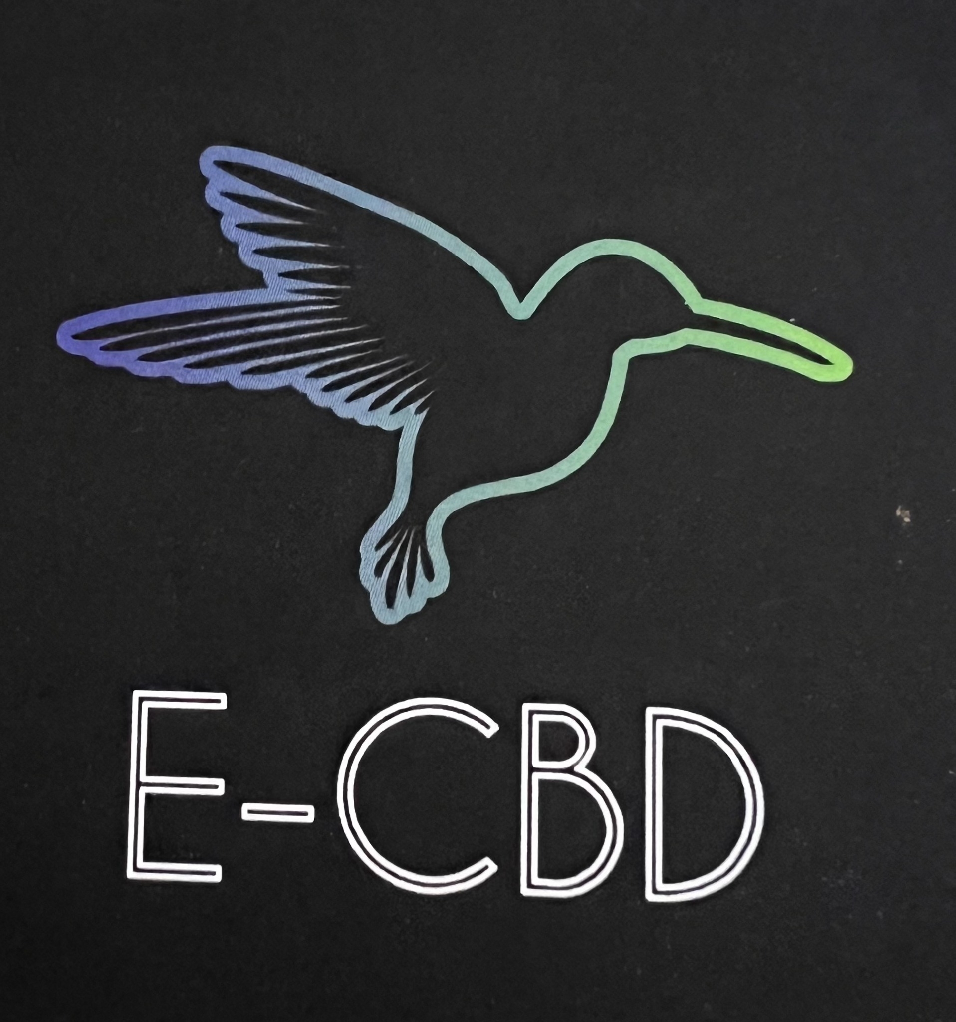 ECBD Argelès | Argelès-sur-Mer