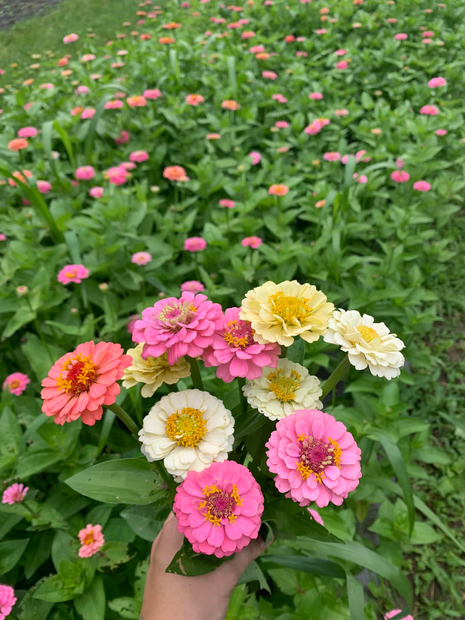 Creekside Valley Farm | Fonthill ON